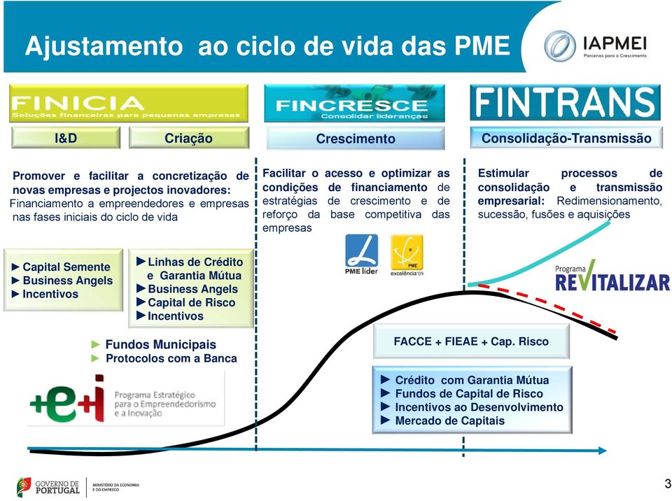 processos de consolidação e transmissão empresarial: Redimensionamento, sucessão, fusões e aquisições Capital Semente Business Angels Incentivos Linhas de Crédito e Garantia Mútua Business Angels