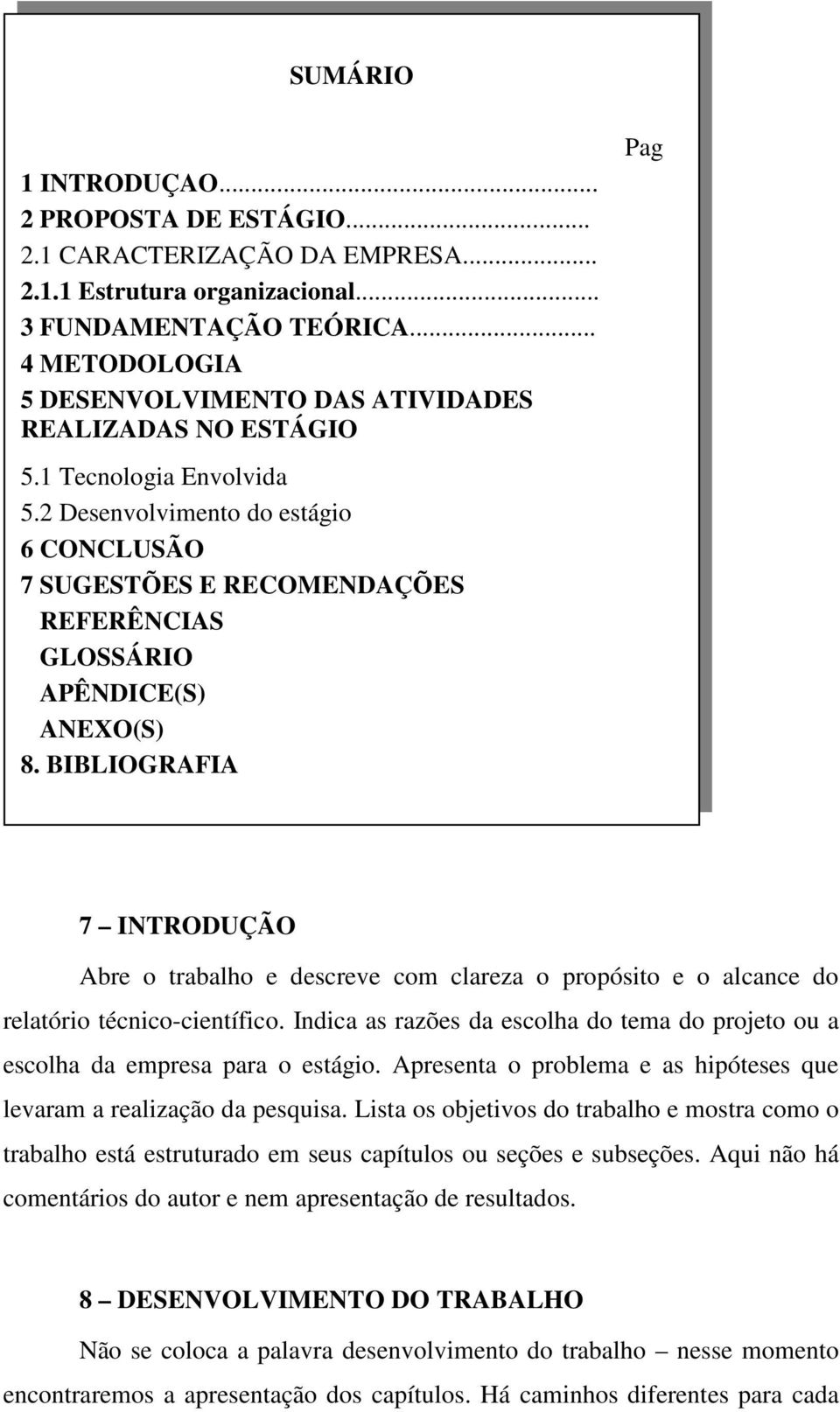 2 Desenvolvimento do estágio 6 CONCLUSÃO 7 SUGESTÕES E RECOMENDAÇÕES REFERÊNCIAS GLOSSÁRIO APÊNDICE(S) ANEXO(S) 8.