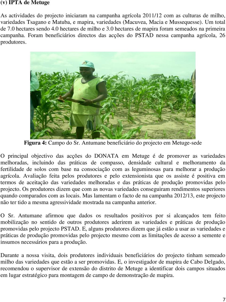 Foram beneficiários directos das acções do PSTAD nessa campanha agrícola, 26 produtores. Figura 4: Campo do Sr.