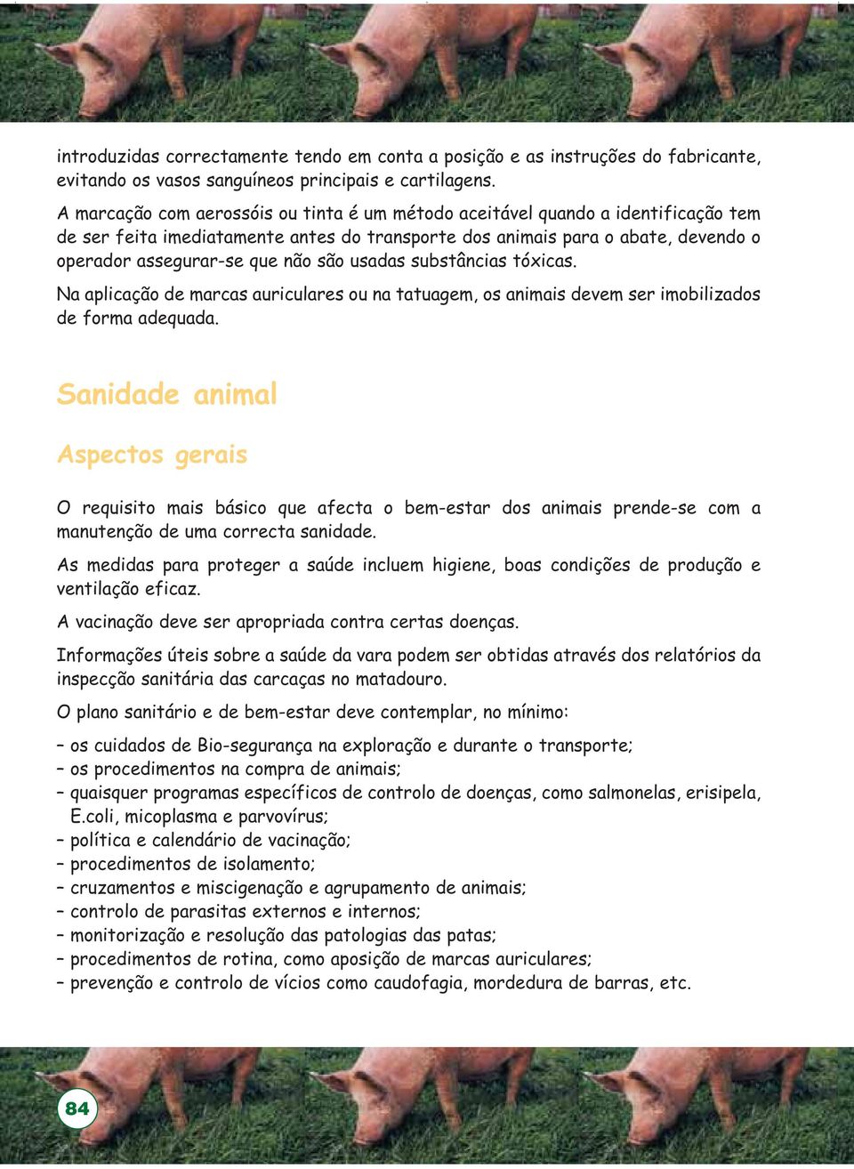 usadas substâncias tóxicas. Na aplicação de marcas auriculares ou na tatuagem, os animais devem ser imobilizados de forma adequada.