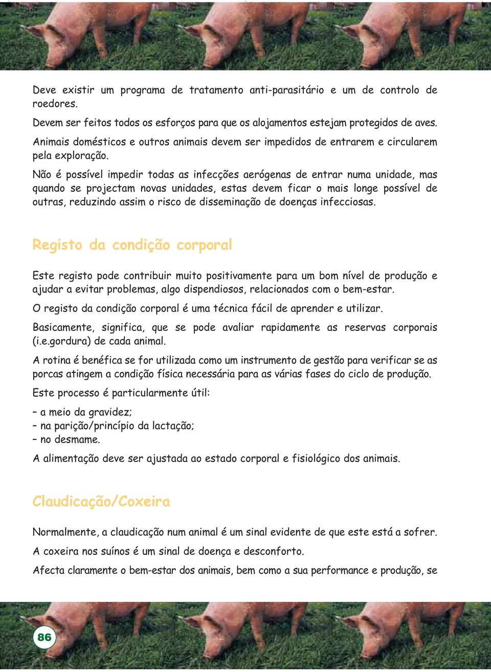 Não é possível impedir todas as infecções aerógenas de entrar numa unidade, mas quando se projectam novas unidades, estas devem ficar o mais longe possível de outras, reduzindo assim o risco de