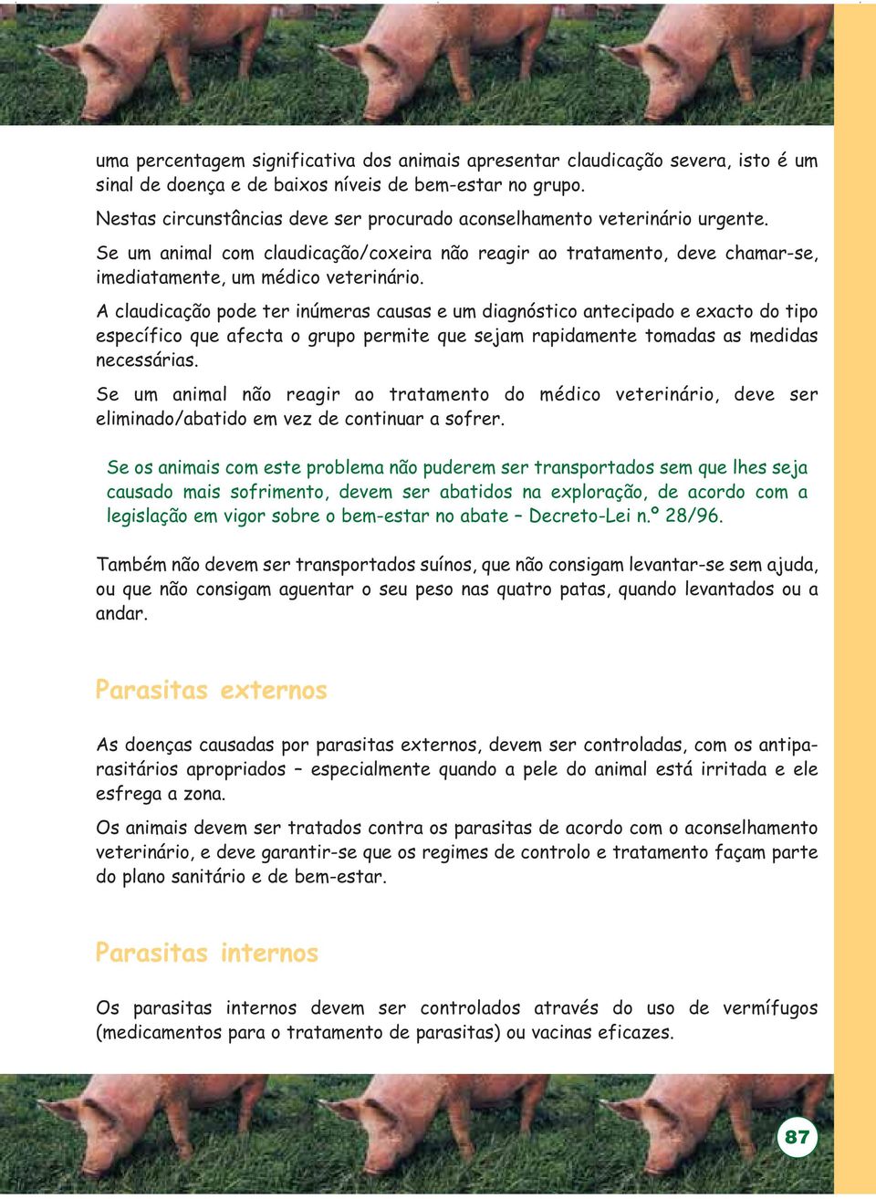 A claudicação pode ter inúmeras causas e um diagnóstico antecipado e exacto do tipo específico que afecta o grupo permite que sejam rapidamente tomadas as medidas necessárias.