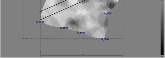Figura 2- Guapuruvu: foto da seção transversal do torete e respectiva imagem tomográfica com demarcação da faixa correspondente à amostra diametral analisada pela densitometria de raio X.