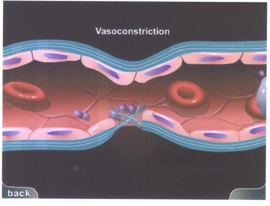 Hemóstase 1.Resposta Vascular 2.