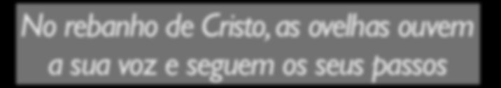 Resgatando o modelo pastoral: 3) Um lugar de Discipulado...as ovelhas ouvem a sua voz. Depois de conduzir para fora todas as suas ovelhas, vai adiante delas, e estas o seguem.