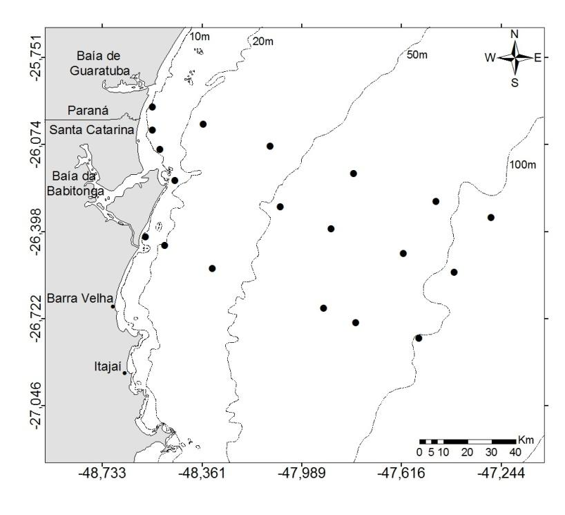 Distribuição e abundância de Narcine brasiliensis no litoral norte de Santa Catarina, Brasil Figura.