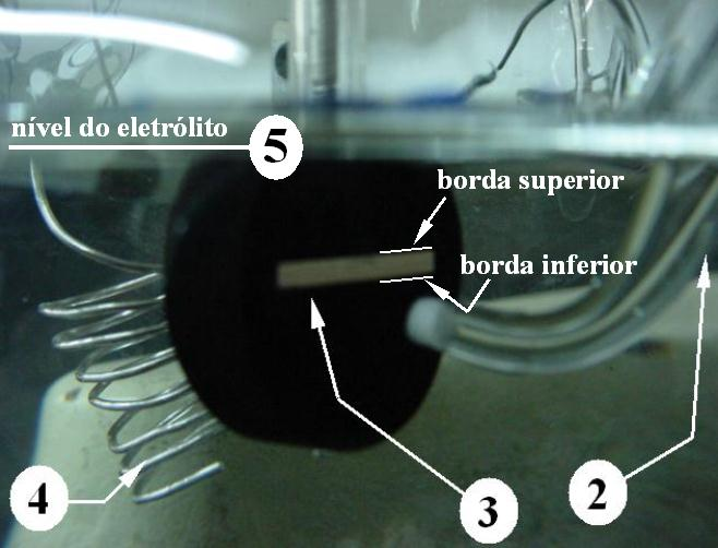 1. Eletrodo de Referência (ECS) 2. Capilar de Luggin 3. Eletrodo de Trabalho corpo-de-prova 4. Contra-eletrodo (Pt) 5. Nível do Eletrólito Fotos: Gentileza Eng.