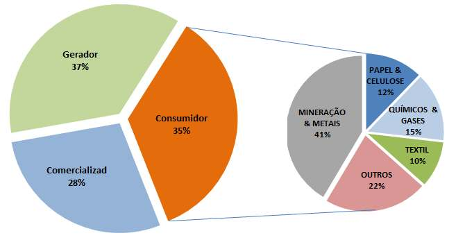 Perfil da carteira de Participantes Em 10/Mai/2012 104 empresas Participantes (220 agentes ACL) Carga dos consumidores