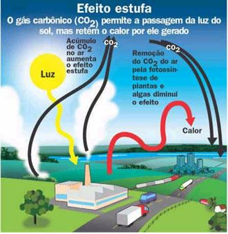 Modificações e Riscos Mudança na composição física, química e biológica Salinização Depleção do ozônio Efeito estufa Desertificação Perda da biodiversidade Chuva ácida RISCOS: - Saúde: Doenças