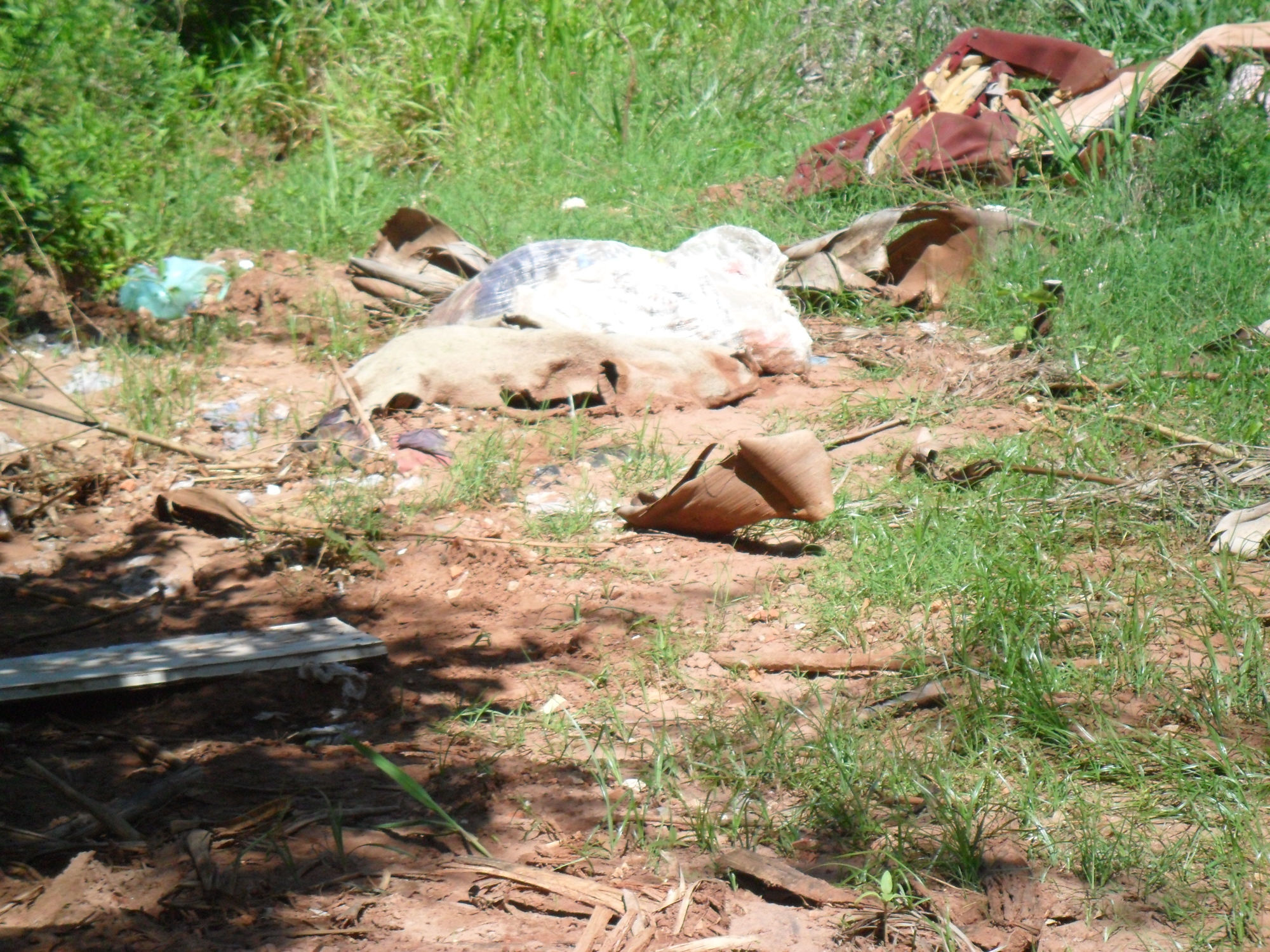 21 Anais da XXII Semana de Geografia da FAFIPA - 02 a 06 setembro de 2013 Figura 1: Lixo nas margens do ribeirão Suruquá.