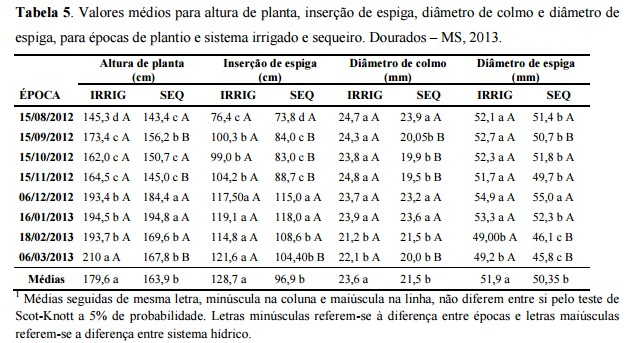 PRODUTIVIDADE DE MILHO EM FUNÇÃO DA ÉPOCA DE SEMEADURA SOB IRRIGAÇÃO E SEQUEIRO.