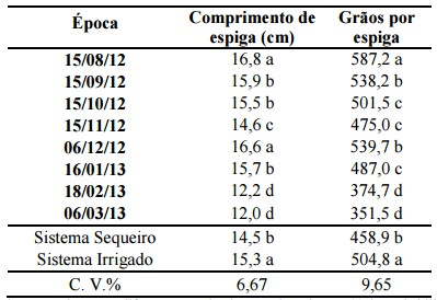 Tabela 6. Valores médios para comprimento de espiga e grãos por espiga de milho cultivado em oito diferentes épocas de semeadura em sistema irrigado e sequeiro.