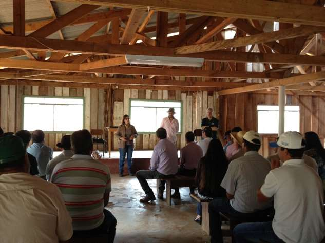 Programas Ambientais fauna, flora, arqueologia, qualidade da água e educação Reuniões comunitárias e materiais