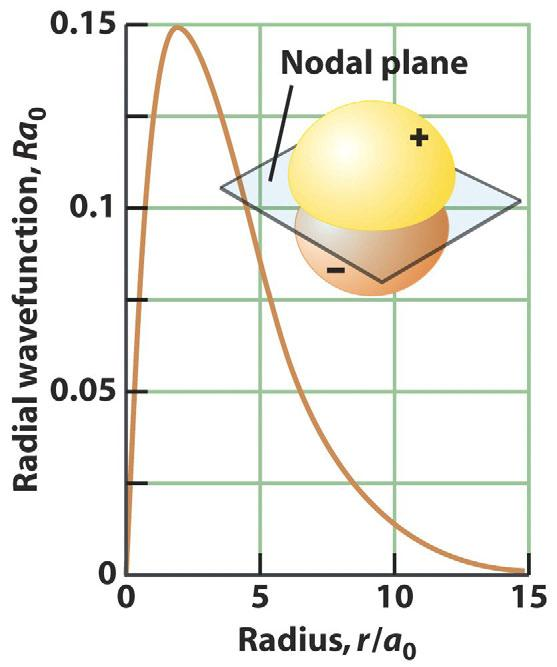 Orbital p.