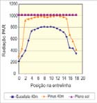 500 árvores por ha até os 5 anos de idade. No que se refere ao SSP, este arranjo e população parece ser mais adequada e capaz de permitir integração floresta-pecuária de mais longo prazo.