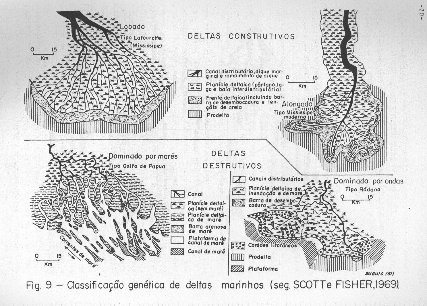 Classificação