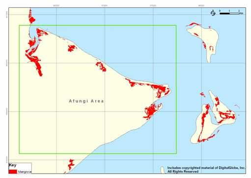 Figura 5.10 Mangais, Área de Afungi Área de Afungi Chave Foram registadas oito espécies de mangais a norte de Cabo Delgado e essas encontram-se listadas na Tabela 5.1.Geralmente, Sonneratia alba é a pioneira mais afastada da costa adaptada às plataformas costeiras abertas e de coral, ocupando locais que são extremamente inundados todos os dias.