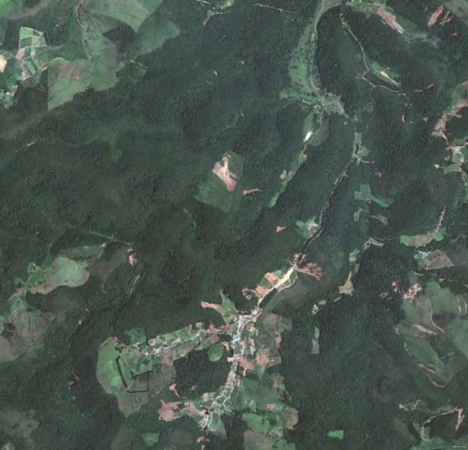 (Nova Friburgo, 2011) (Nova Friburgo, 2011) Fluxo de indivíduos Predação Mortalidade Populações Biodiversidade