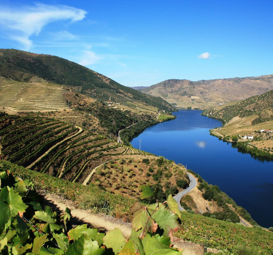 4. Douro Tour Dia Inteiro Sendo a primeira região do mundo a ser demarcada para produção de vinho, o Vale do Douro é hoje património Mundial pela UNESCO e famoso por ter uma invulgar e fantástica