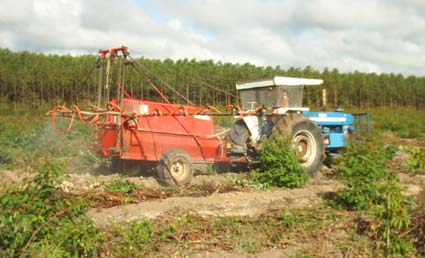 Evolução da Produtividade Florestal Mudas Manejo de Pragas e Doenças Preparo de solo e adubação