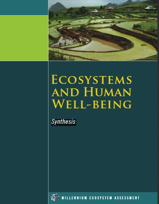 Serviços ecossistêmicos: o que são? 2 os benefícios que a sociedade obtém dos ecossistemas Outros conceitos precederam, como funções da natureza funções ecológicas (.