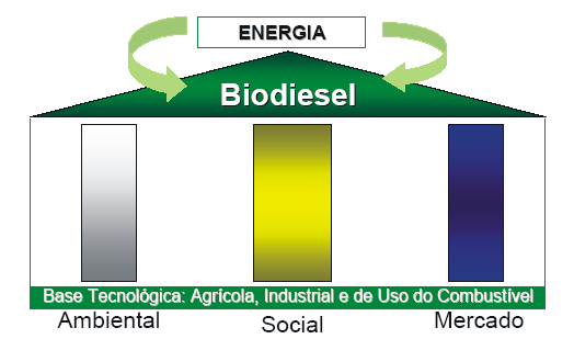 PB Programa Nacional de Produção e Uso do Biodiesel DESAFIO: Implantar um programa energético auto-sustentável,