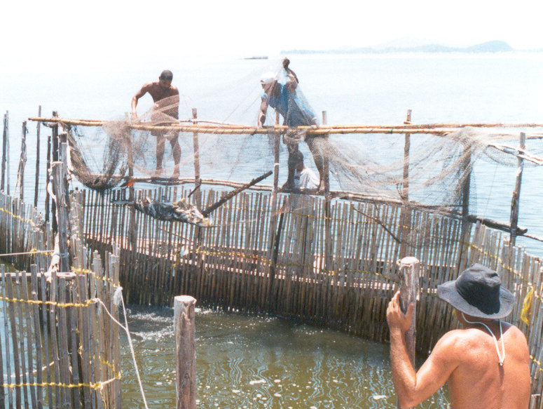 Áreas de estudo 67 7.1.3. Praia de Ipiranga, Magé A praia de Ipiranga localiza-se no município de Magé, RJ, e sua principal atividade econômica é a pesca.