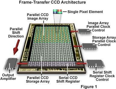 CCD