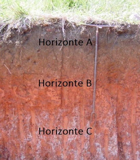 e) Cola branca escolar; f) Borrifador de água; Figura 1. Perfil de solo em Pinhais (PR) mostrando os diferentes horizontes encontrados. Foto: Marcelo Ricardo de Lima.