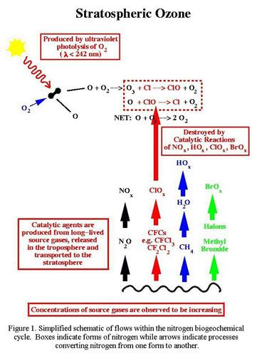 Ozônio estratosférico modelo esquemático simplificado Agentes catalisadores são produzidos a partir de gases fonte de tempo de vida