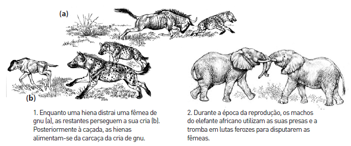 7. Considera as seguintes afirmações em relação à informação 2, do quadro anterior, e assinala com V as verdadeiras (V) e com F as falsas. A relação 1, é uma relação em que ambos são prejudicados.