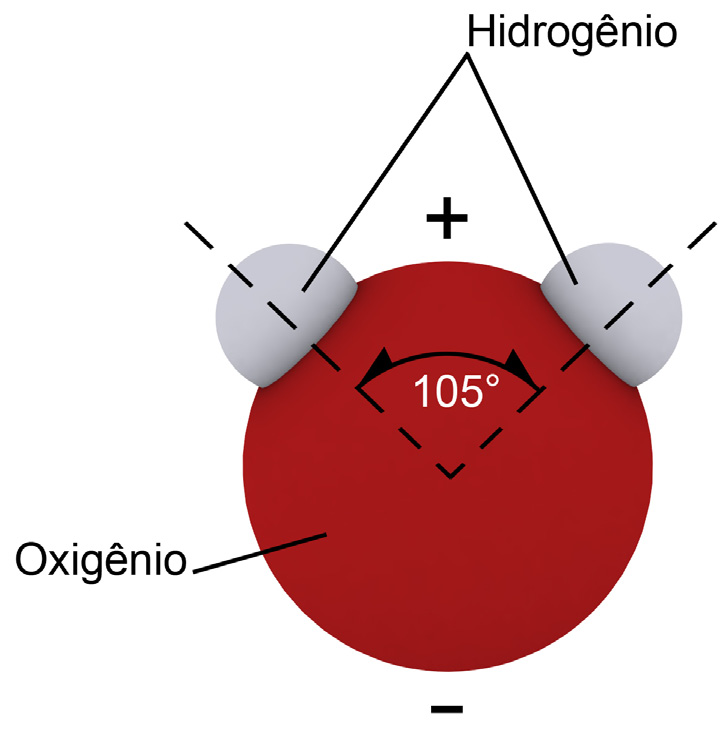 119 A circulação da água representa a maior movimentação de uma substância química na superfície do nosso planeta.