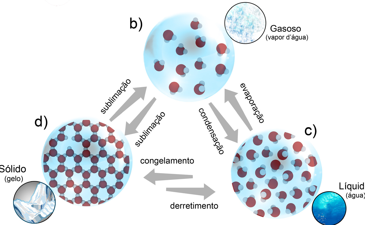 10 a 50 mais fracas que as ligações covalentes entre H e O dentro das moléculas, mas com força suficiente para as moléculas manifestarem sua tendência ao agrupamento molecular.