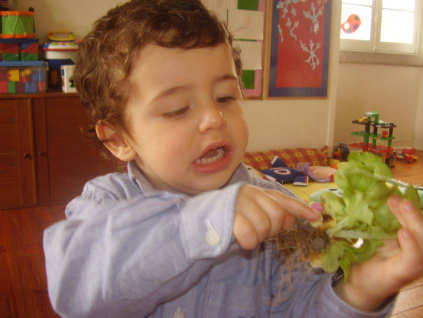 The Farmer in the Vegetable Garden This is the workplace of every good Farmer. It all happens in the vegetable garden.