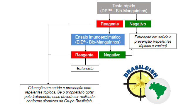 O Brasileish apresentou ao Ministério da Saúde, medidas que podem ser tomadas nos estadiamentos da doença: Estadiamento 1: (Inicial), pode ser utilizada a imunoterapia acompanhada do alopurinol e da