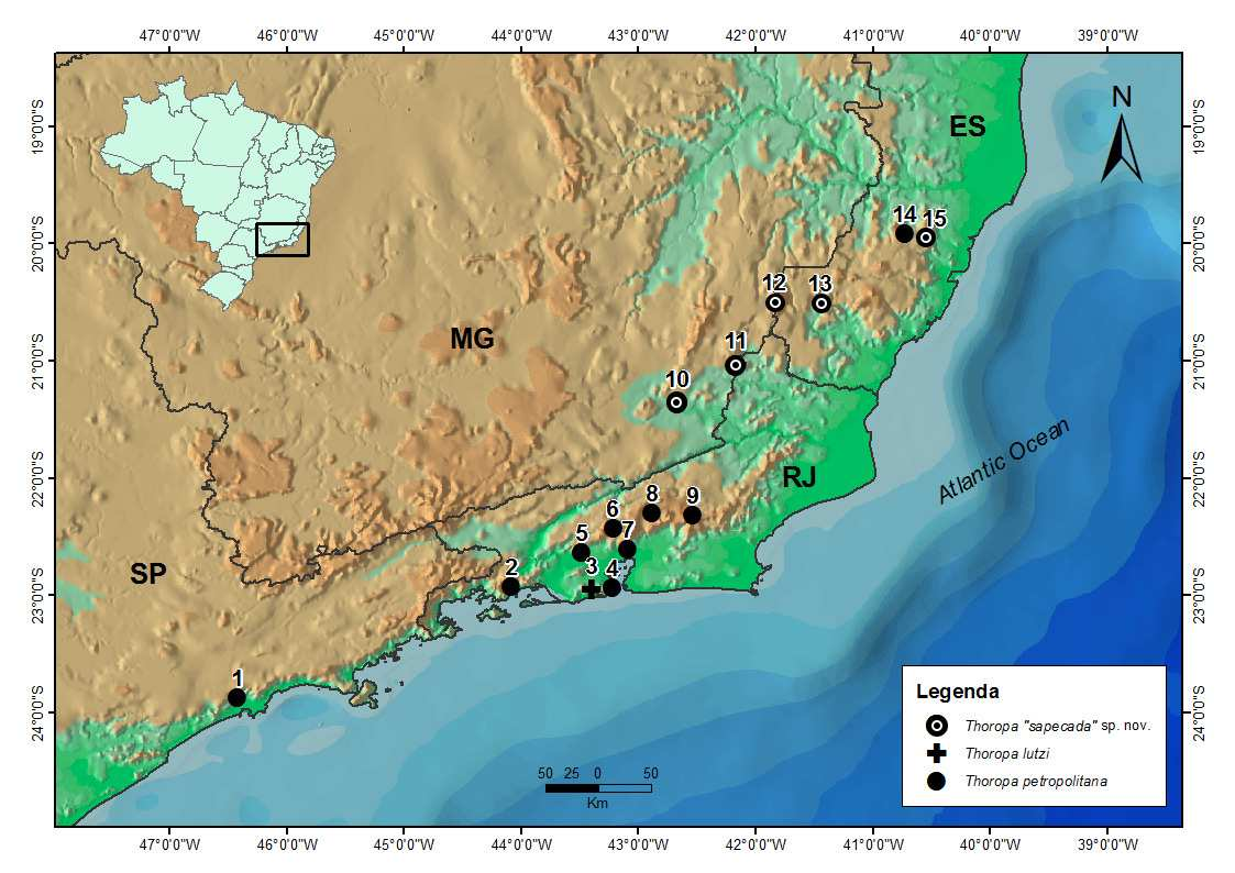 Figura 6: Oscilograma e sonograma do canto de anúncio de Thoropa sapecada sp. nov. Figura 7: Mapa de distribuição de Thoropa sapecada sp. nov., T. lutzi e T.