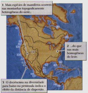 Heterogeneidade de Habitats e distância dos