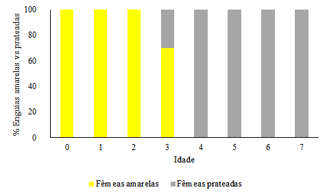 Figura 3.9 (continuação) Percentagem de machos (a) e fêmeas (b) amarelas e prateadas por grupos de idade.
