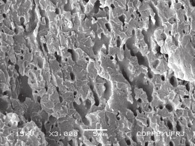 Figura 3. Micrografias de SEM de : a) extração feita com heptano/hexano; e b) extração feita com HCl.