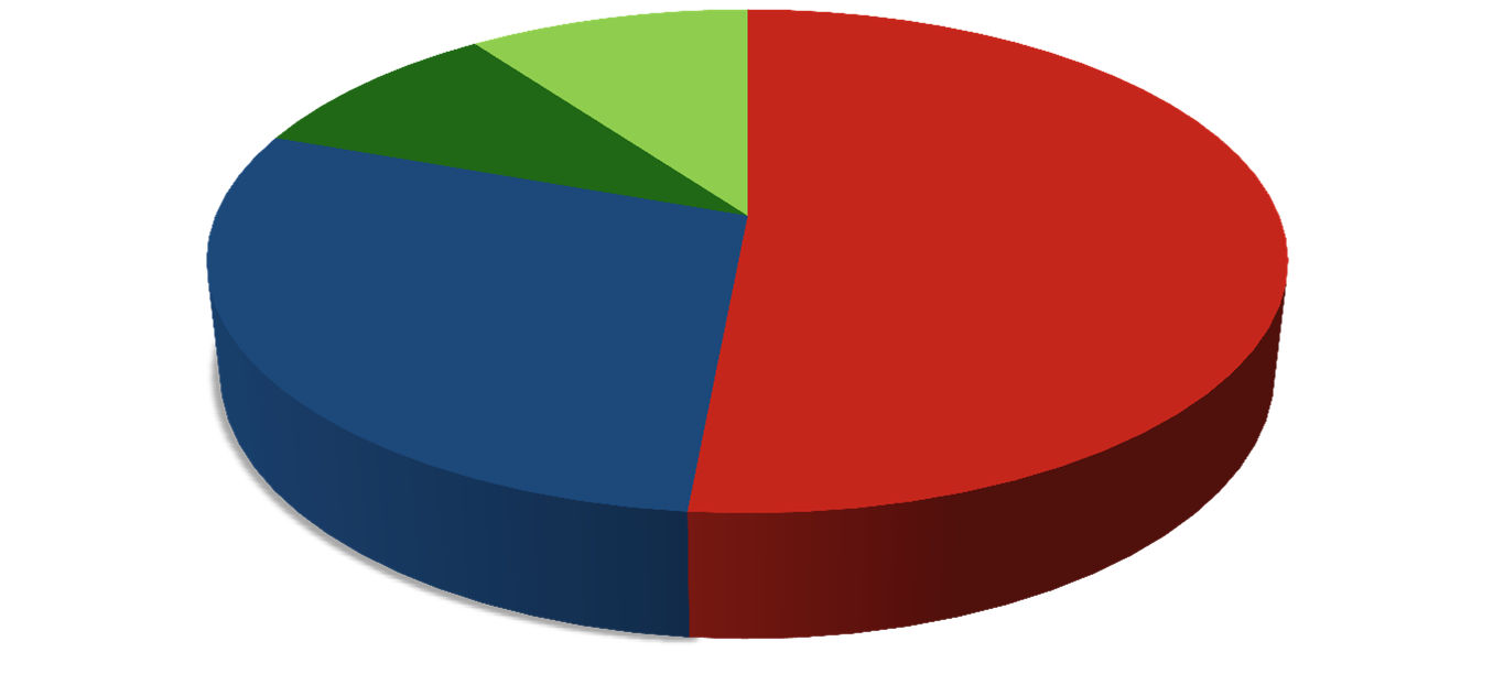 COMPOSIÇÃO ACIONÁRIA COMPOSIÇÃO ACIONÁRIA ATUAL 9,5% 10,0%