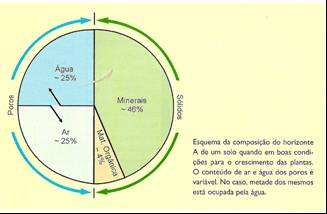 Solo Camada superficial da crosta terrestre, é um complexo composto de materiais