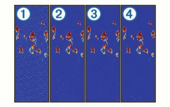 Ganho de sonar e configurações de ruído Você pode ajustar a quantidade de ganho e ruído em uma tela de sonar.