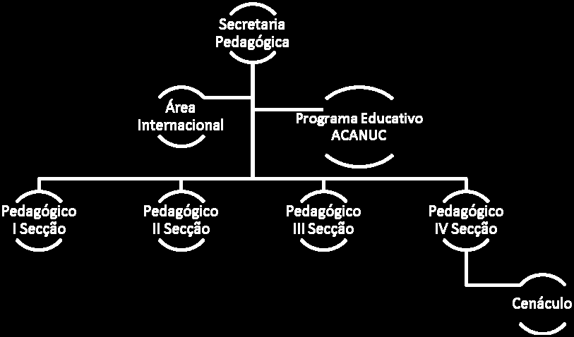 PEDAGÓGICA No ano 2013 a secretaria pedagógica será direcionada para o Acampamento de Núcleo, acompanhando tudo que seja atividades das secções.