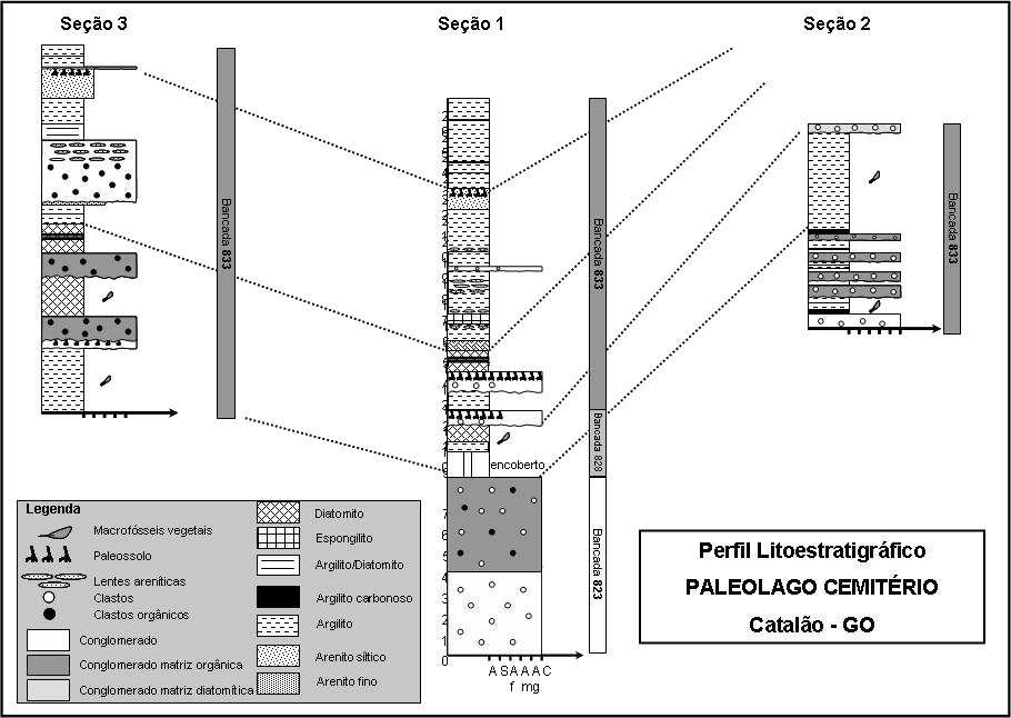 18 Figura 3 Perfil Litoestratigráfico do Paleolago do Cemitério, Catalão, Goiás, evidenciando a correlação entre as três Seções analisadas. CARDOSO, 2007. 5.