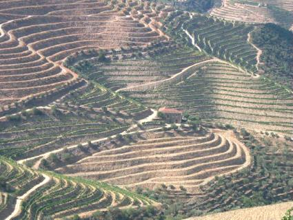 Fatores Físicos O Clima as necessidades de calor e de água variam de planta para planta. Os climas temperados são os mais propícios para a prática de agricultura.