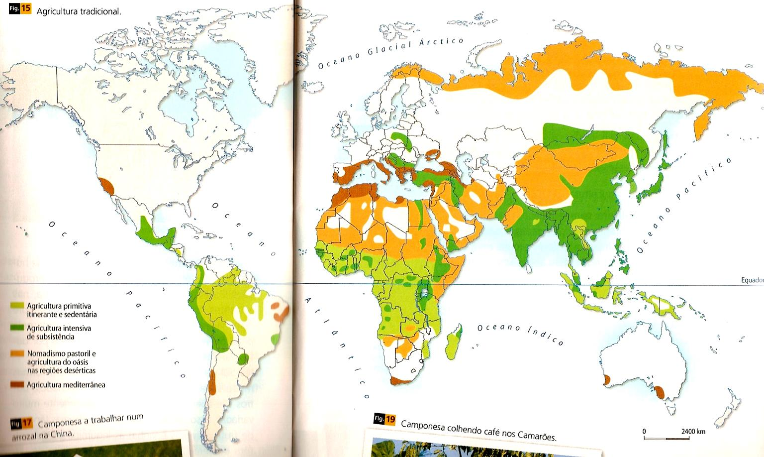 Distribuição Geográfica