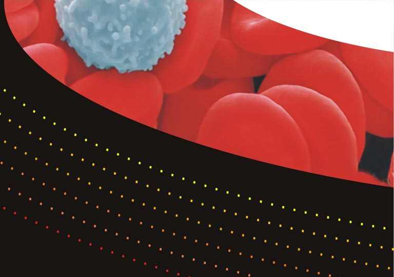 Projetos inovadores - Medicamentos Desenvolvimento de medicamentos Veterinário nanoestruturados.