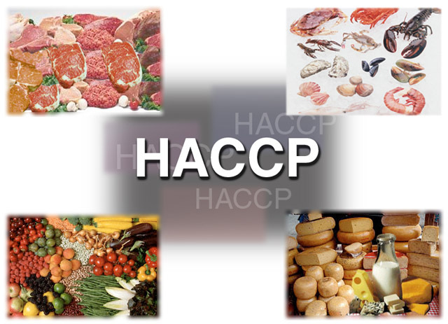 Treinamento e-learning HACCP HAZARD ANALYSIS AND CRITICAL CONTROL POINTS APPCC - ANÁLISE DE PERIGOS E PONTOS CRÍTICOS DE CONTROLE GESTÃO DA CADEIA