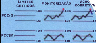 3) Os sete princípios da APPCC Princípio 4 - estabelecimento de um sistema de monitoramento do controle dos PCCs O monitoramento é uma sequência planejada de observações ou mensurações para avaliar