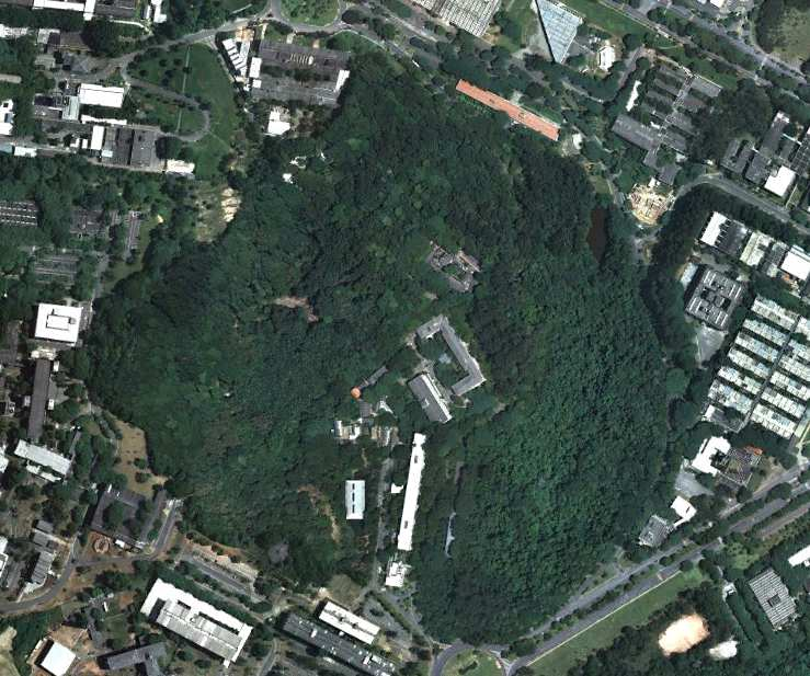 Figura 02. Vista geral da Reserva Florestal do Instituto de Biociêcias da USP.